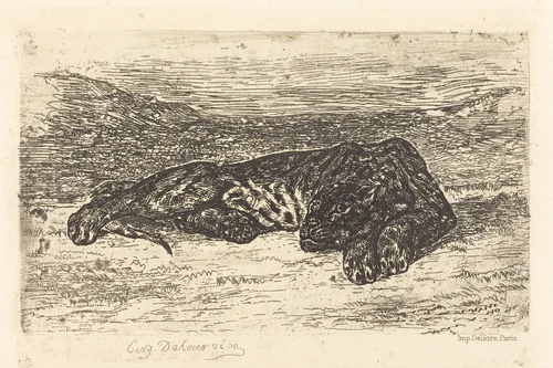 Tiger Sleeping in the Desert (Tigre couché dans le désert) by Eugène Delacroix, print, 1846-1870
