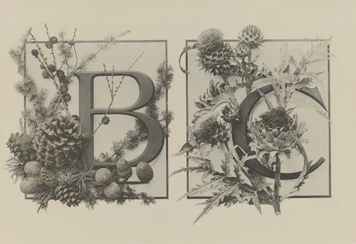 Page from Festons und Dekorative Gruppen by Unidentified Photographer, photograph, 1893