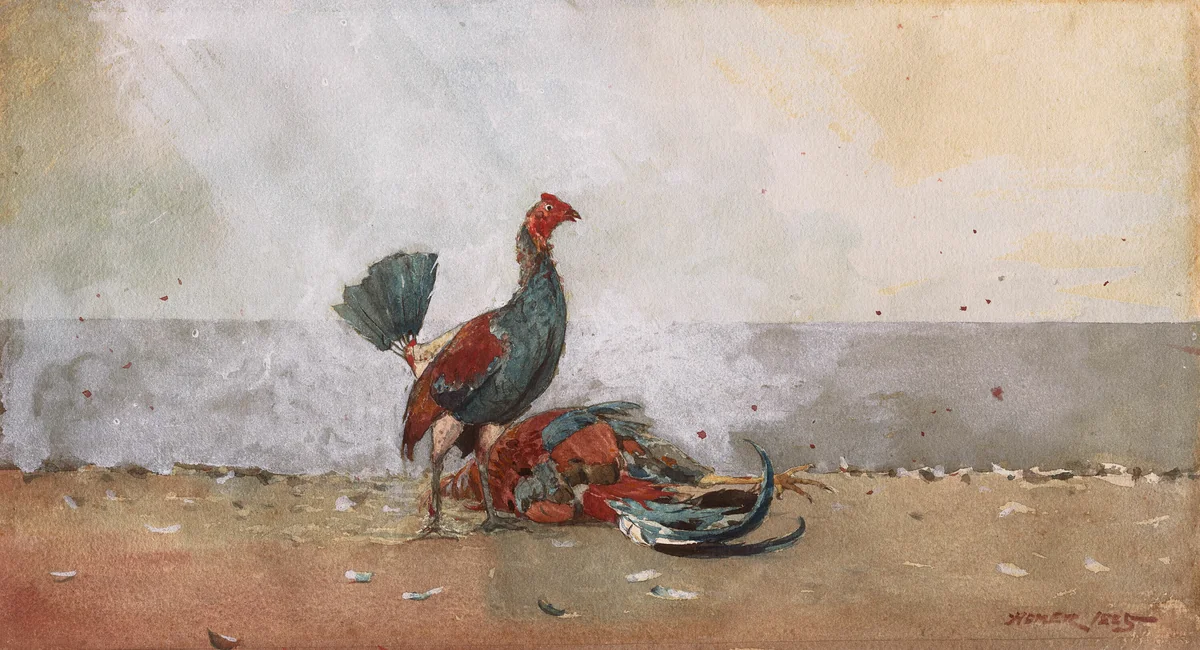 The Cock Fight by Winslow Homer, painting, 1885