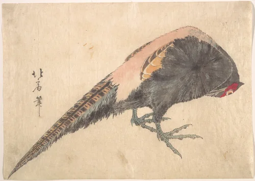 Bird by Hakusanjin Hokui, print, 1830-1840
