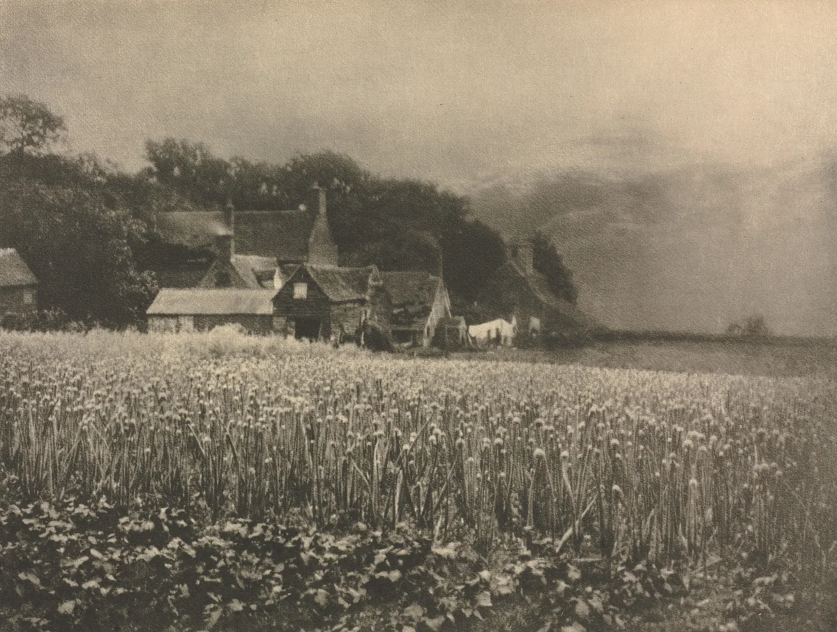 Camera Work: The Onion Field - 1890 by George Davison, book, 1890