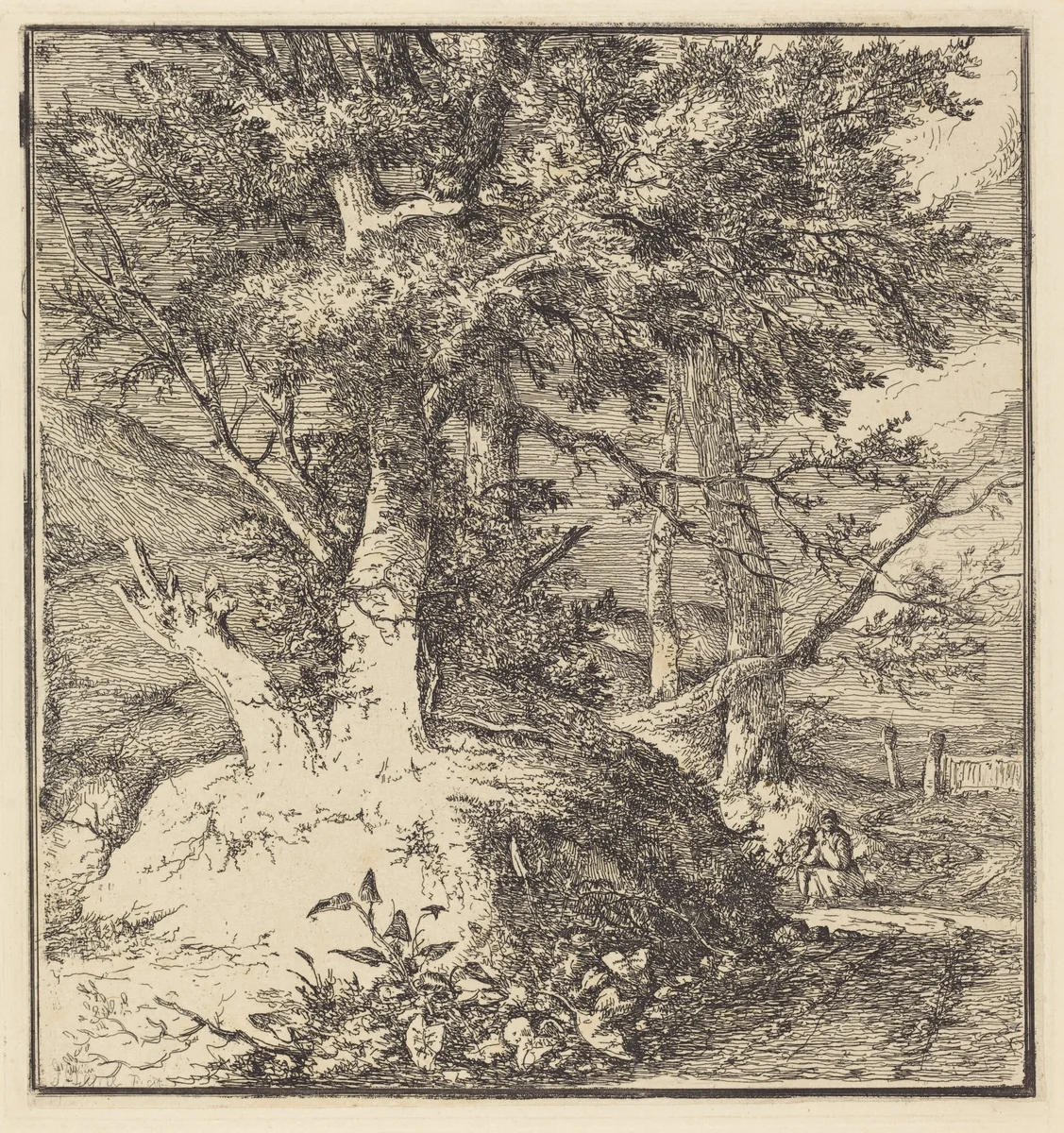Tree on a Mound by John Crome, print, 1768-1821