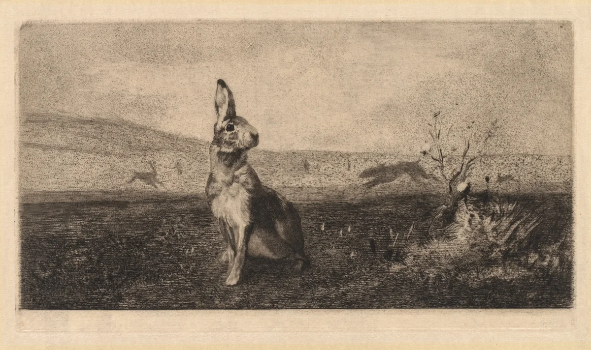 The Hare (Le Lièvre) by Albert de Balleroy, print, 1865