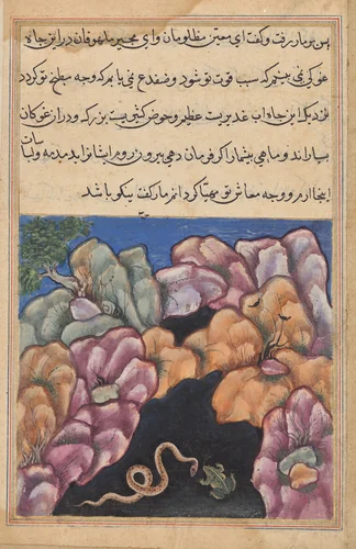 The snake enters into an argument with the frog, from a Tuti-nama (Tales of a Parrot): Twenty-sixth Night by Unknown, painting, 1555-1565