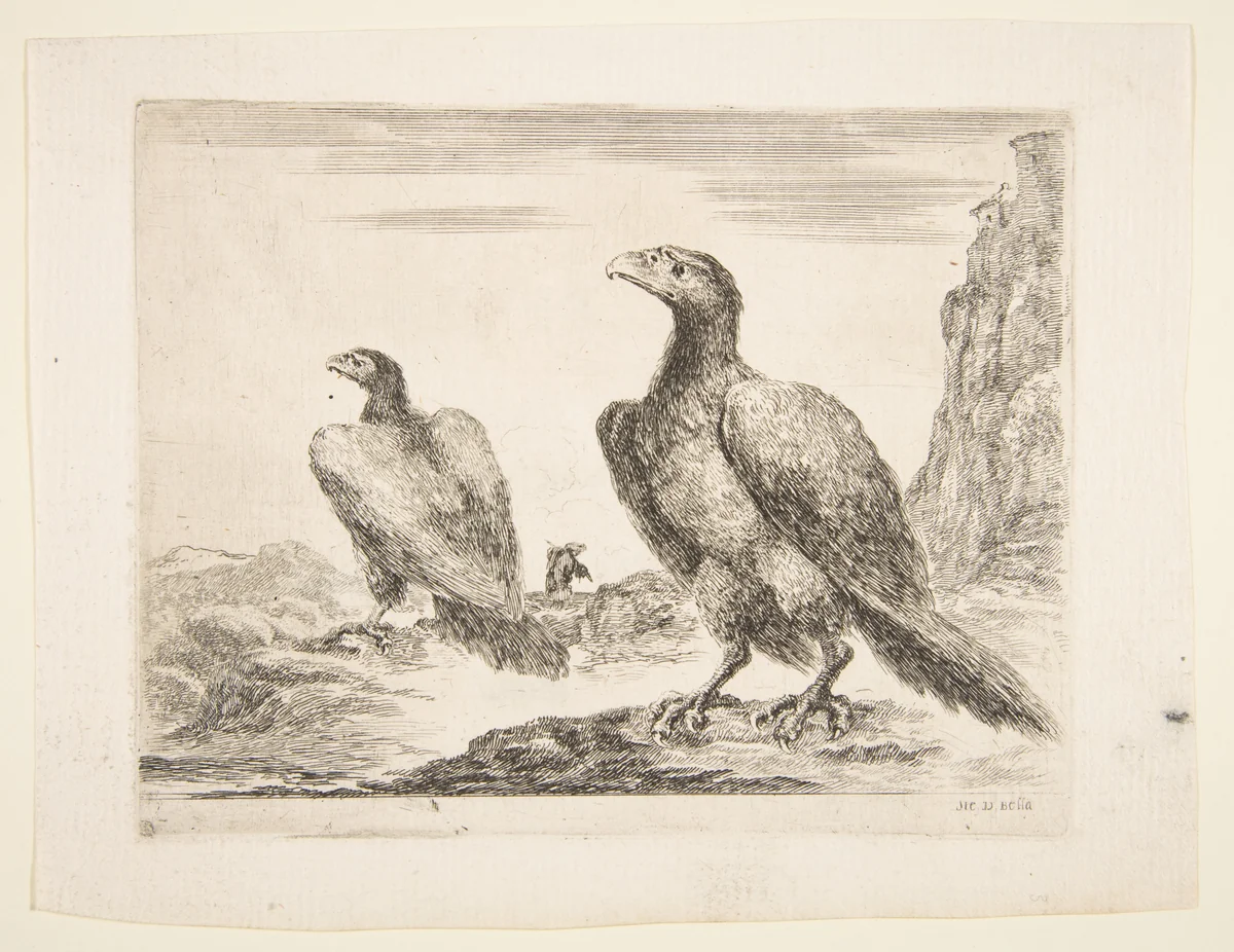 Two eagles, from 'Eagles' (Les aigles) by Stefano della Bella, print, 1646-1656
