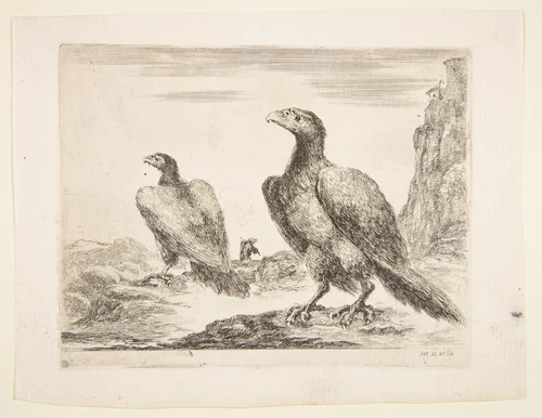 Two eagles, from 'Eagles' (Les aigles) by Stefano della Bella, print, 1646-1656