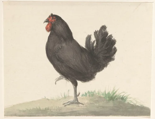 Staande zwarte kip by Jean Bernard, drawing, 1775-1833