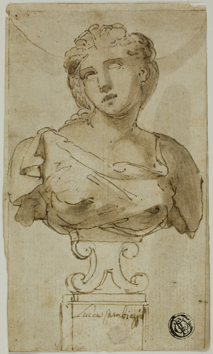 Bust of a Woman by Luca Cambiaso, drawing, 1558-1562