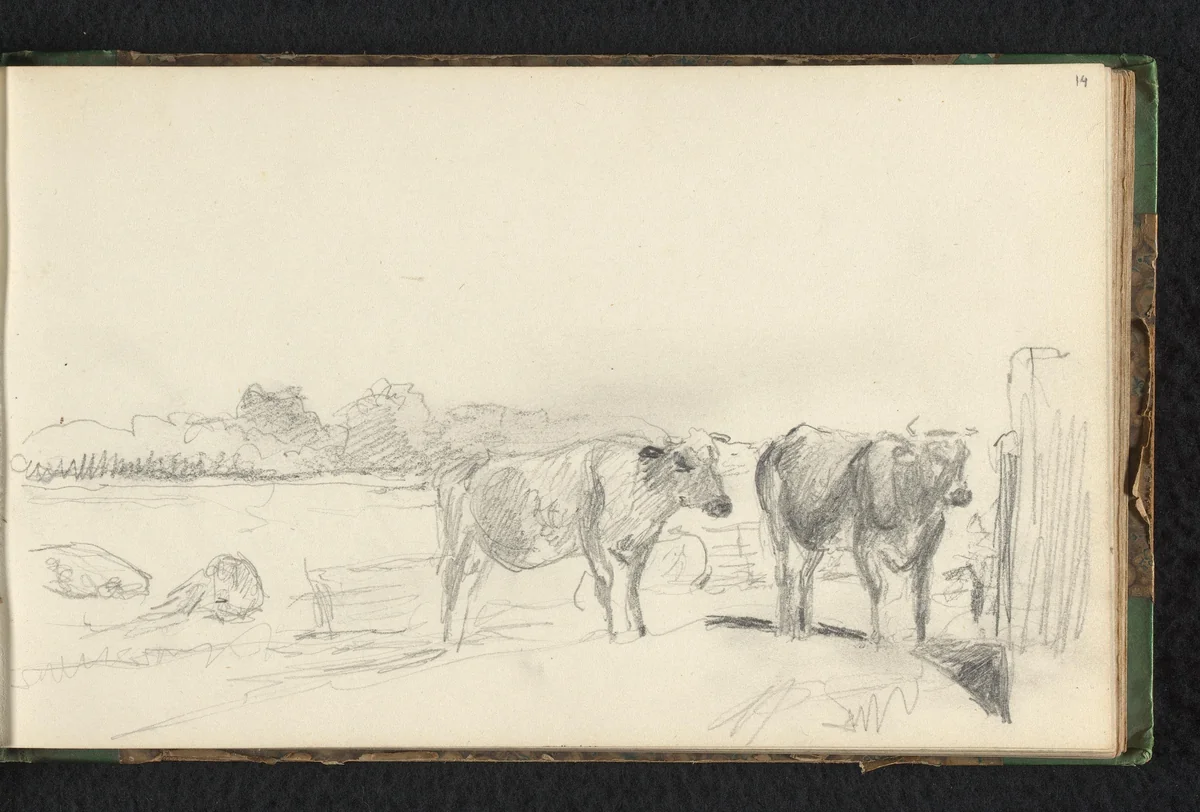 Weide met koeien by Jan Bedijs Tom, drawing, 1823-1894