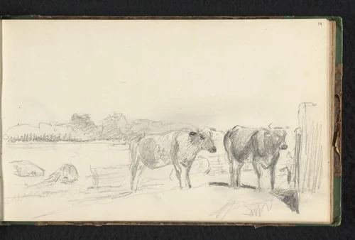 Weide met koeien by Jan Bedijs Tom, drawing, 1823-1894