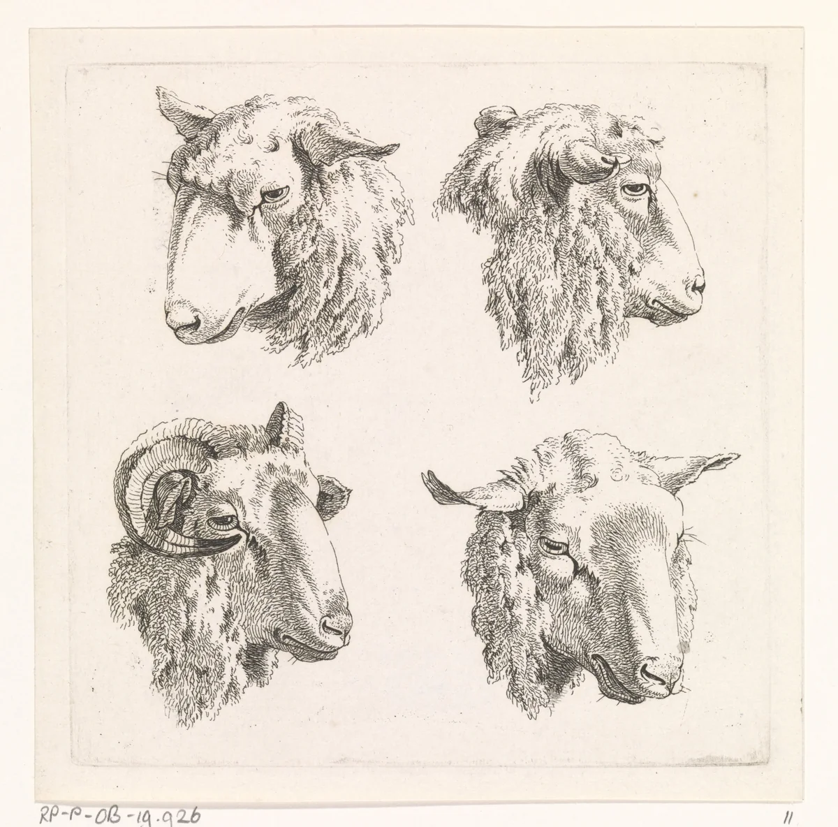 Vier schaapskoppen by Barend Hendrik Thier, print, 1755-1811