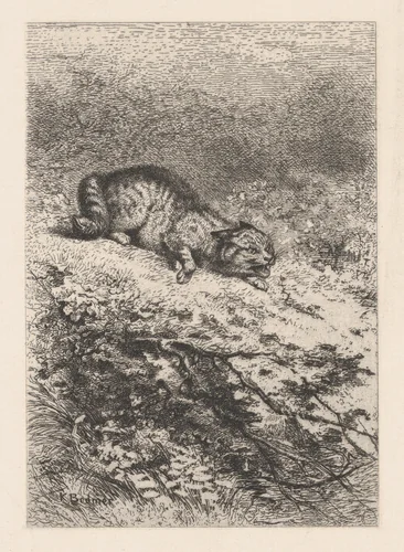 Wild Cat, from "Eaux-Fortes Animaux & Paysages" by Karl Bodmer, print, 1855-1865