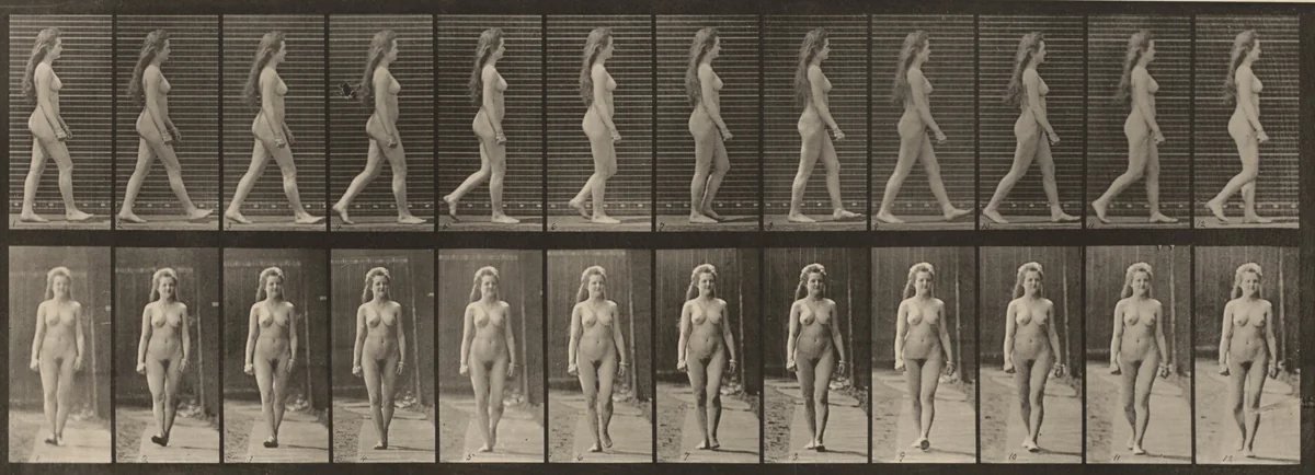 Plate Number 17. Walking by Eadweard Muybridge, photograph, 1887