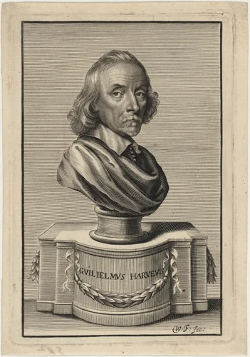 William Harvey, M.D. by William Faithorne, print, 1653