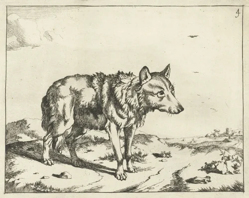 Staande wolf, en profil by Marcus de Bye, print, 1657-1677