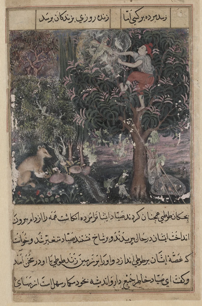 The hunter throws away the baby parrots, who pretend to be dead, and captures the mother, from a Tuti-nama (Tales of a Parrot): Fifth Night by Basavana, painting, 1555-1565