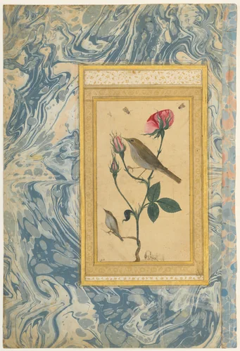 "Two Nightingales in a Rose Bush", Double-Sided Illustrated Leaf from an Ottoman Album by Abdullah Bukhari, manuscript, 1700-1760
