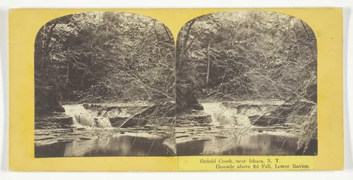 Enfield Creek, near Ithaca, N.Y. Cascade above 2d Fall, Lower Ravine by J. C. Burritt, photograph, 1860-1865