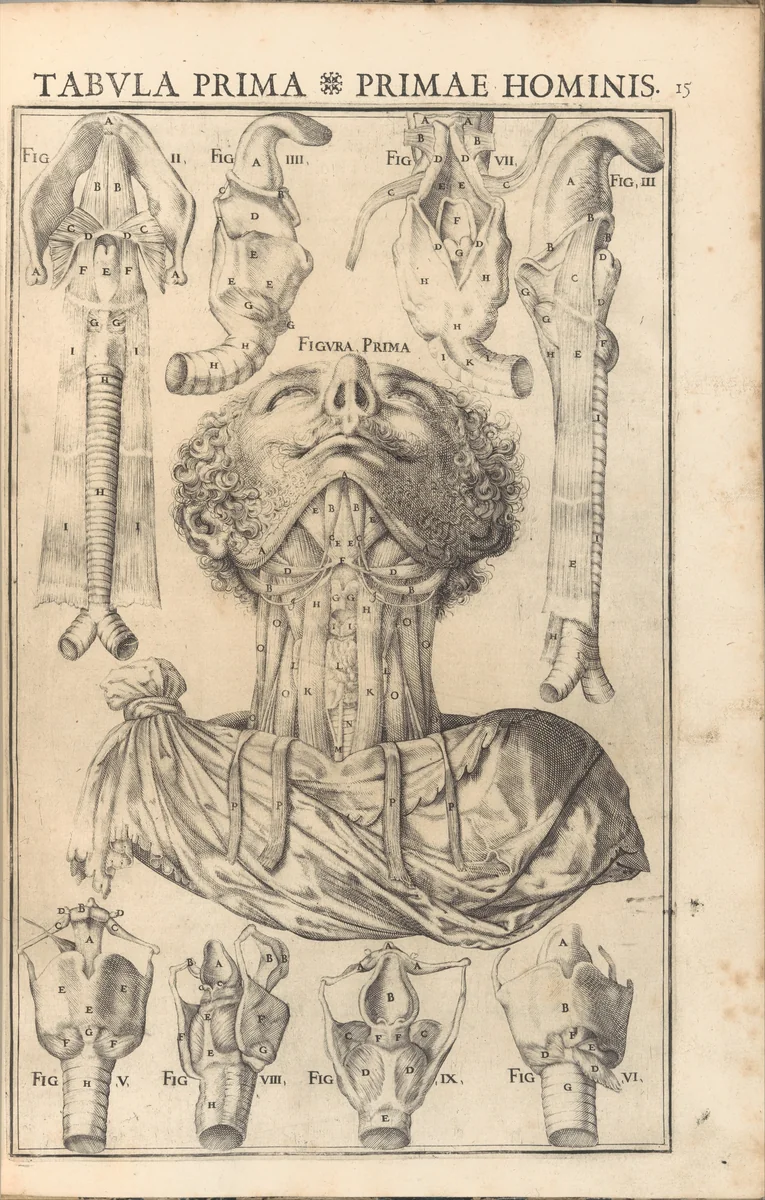 De Vocis Auditusque by Giulio Casserio, book, 1601