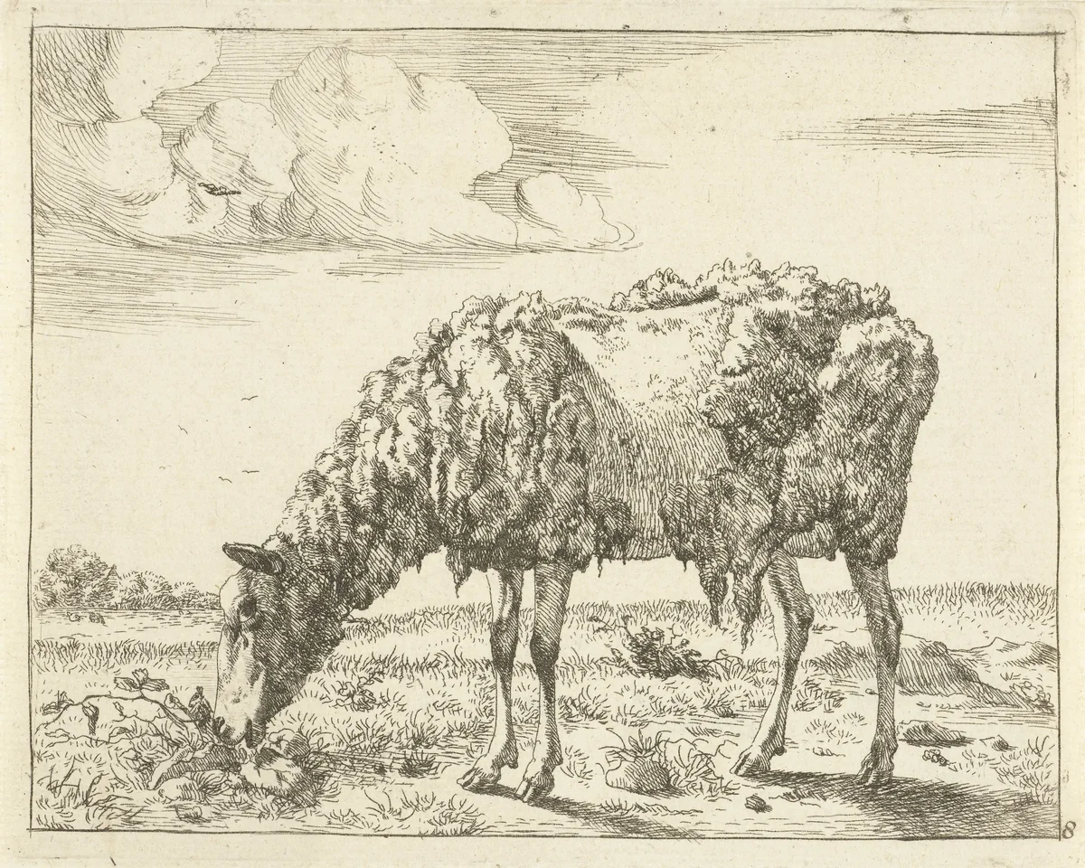 Schaap by Marcus de Bye, print, 1657-1677