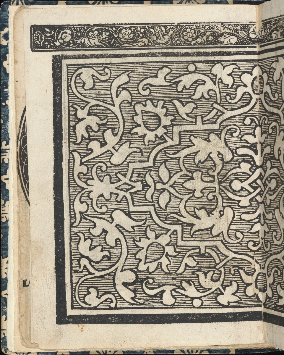 Essempio di recammi, page 6 (verso) by Giovanni Antonio Tagliente, book, 1530