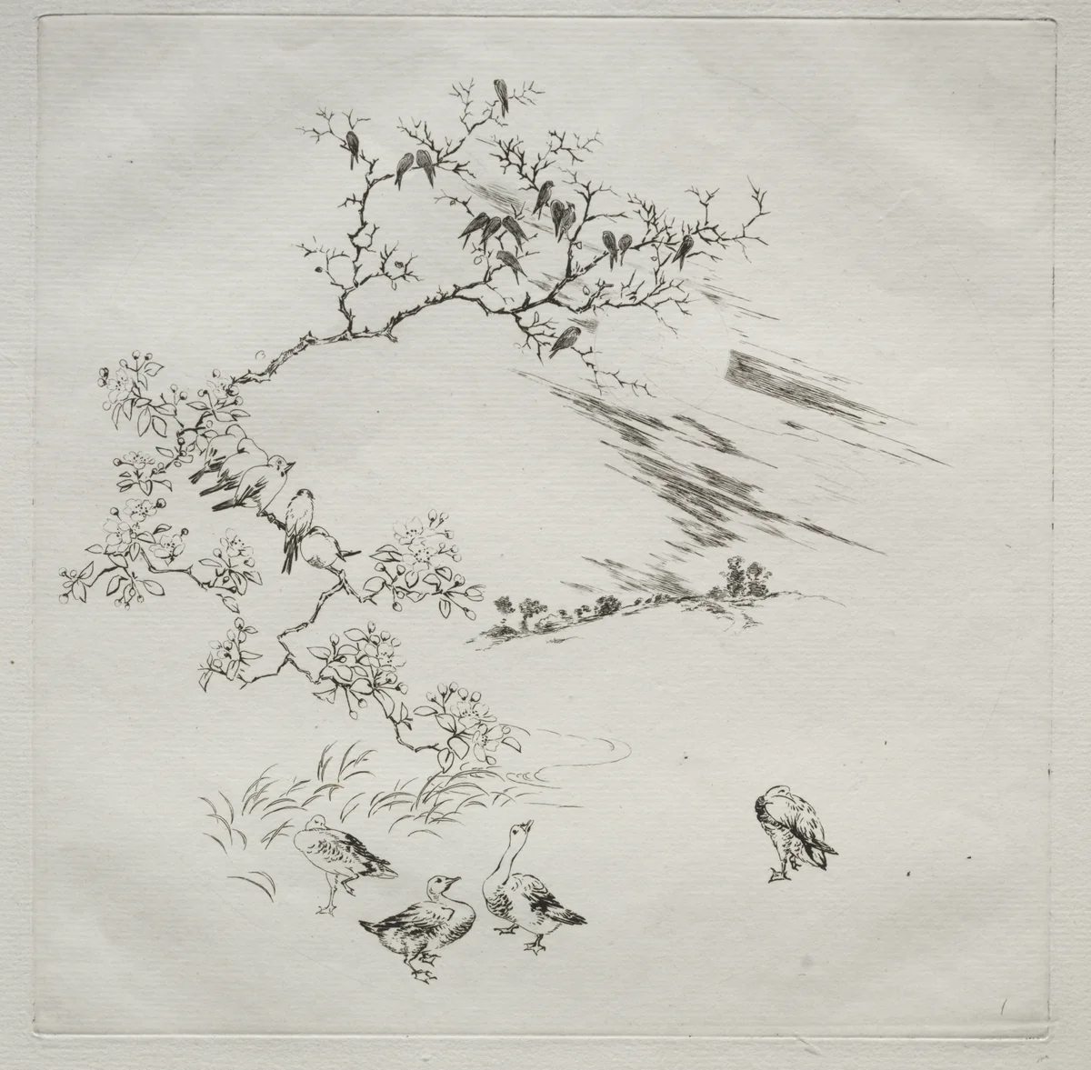 Parisian Service (Haviland service): Night (no. 7) by Félix Bracquemond, print, 1875