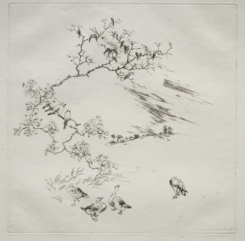 Parisian Service (Haviland service): Night (no. 7) by Félix Bracquemond, print, 1875