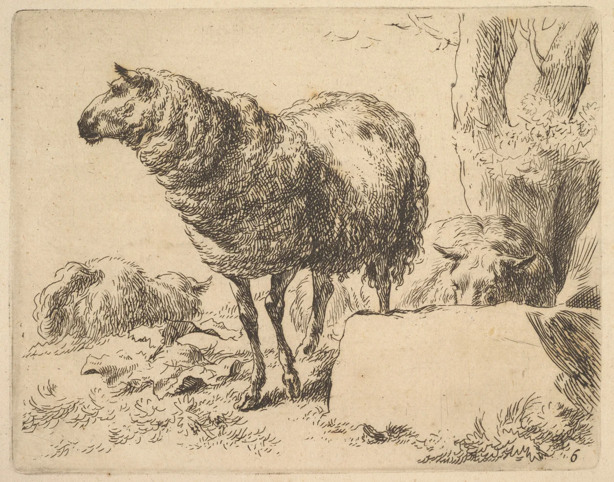 Plate from "The Set of Sheep" by Nicolaes Berchem, print, 1635-1683