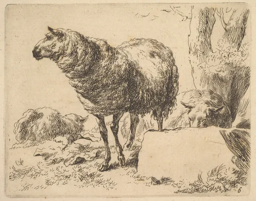 Plate from "The Set of Sheep" by Nicolaes Berchem, print, 1635-1683