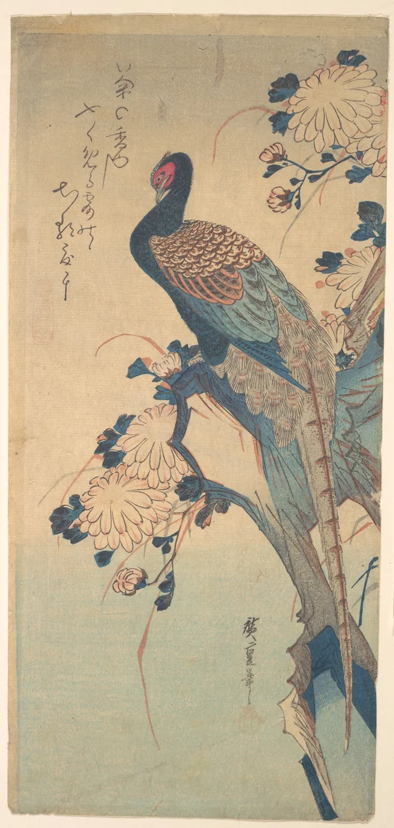Pheasant with Chrysanthemums by Utagawa Hiroshige (歌川広重), print, 1825-1845