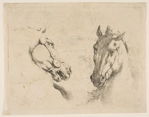 Two Horse Heads by Stefano della Bella, print, 1644-1654