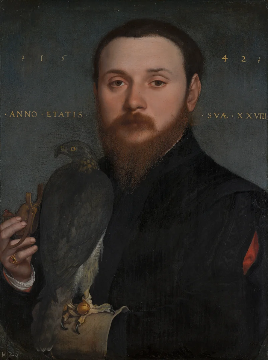 Portrait of a Nobleman with a hawk by Hans Holbein the Younger, painting, 1542
