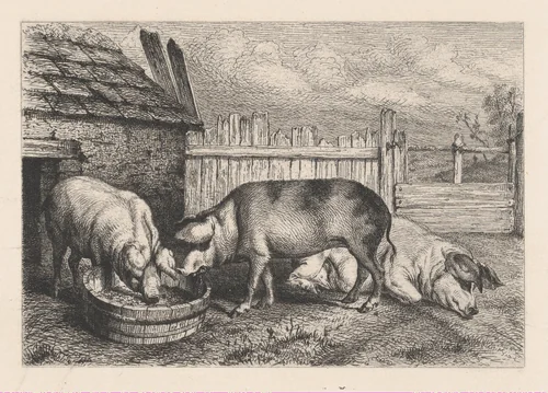 Three Pigs Near a Fence by Karl Bodmer, print, 1855-1865