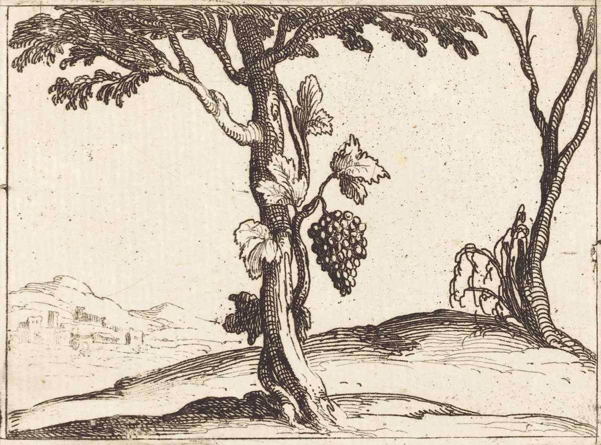 Bunch of Grapes by Jacques Callot, print, 1592-1635