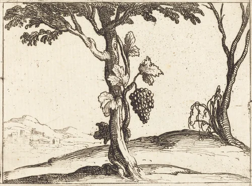 Bunch of Grapes by Jacques Callot, print, 1592-1635