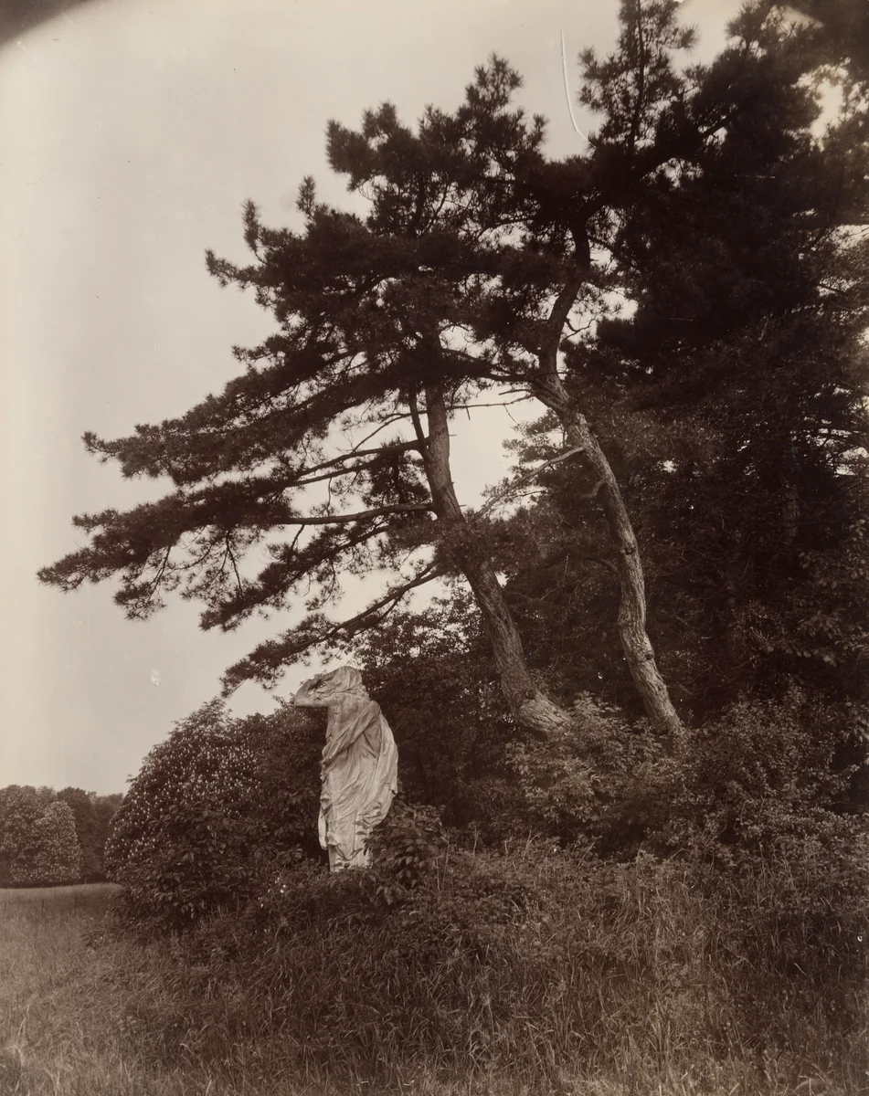 Parc de Sceaux by Eugène Atget, photograph, 1925