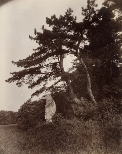 Parc de Sceaux by Eugène Atget, photograph, 1925