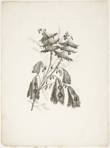 Bouquet, from Collection of New Flowers of Taste for the Manufacture of Persian Cloth, Invented and Drawn by Jean Pillement by Johann Heinrich Hess, print, 1765-1770