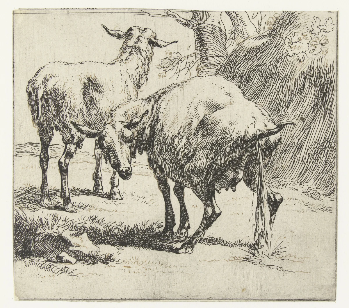 Pissende ooi en een schaap by Nicolaes Pietersz Berchem, print, 1646-1652