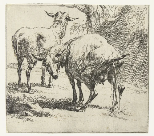 Pissende ooi en een schaap by Nicolaes Pietersz Berchem, print, 1646-1652