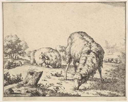Sheep, from a set of 16 plates by Marcus de Bye, print, 1664