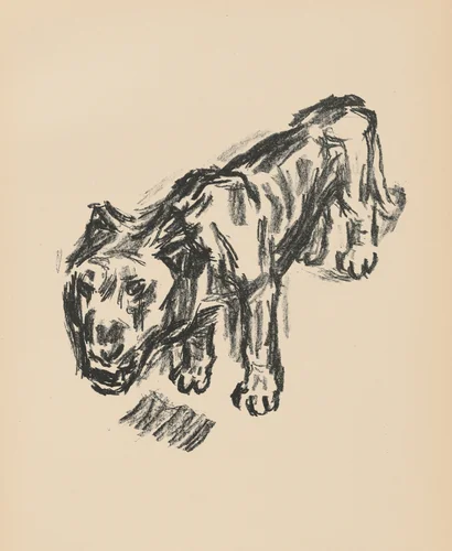 Löwe (Lion) from Deutsche Graphiker der Gegenwart (German Printmakers of Our Time) by René Beeh, print, 1920