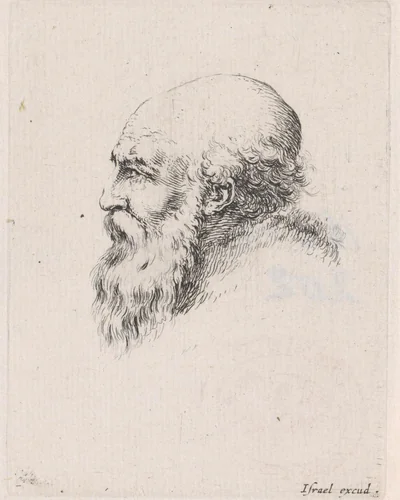 Hoofd van een oude kale man met baard, in profiel naar links by Stefano della Bella, print, 1650