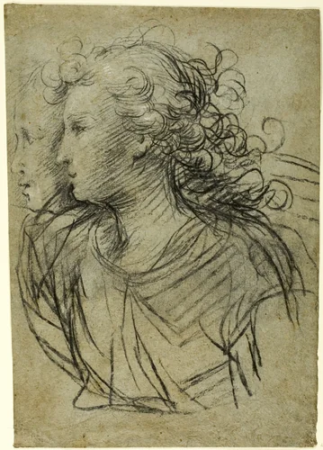 Half-Length View of Female in Profile to Left (recto); Half-Length view of Figure in Three-Quarter Profile (verso) by Jacopo Confortini, drawing, 1600-1699