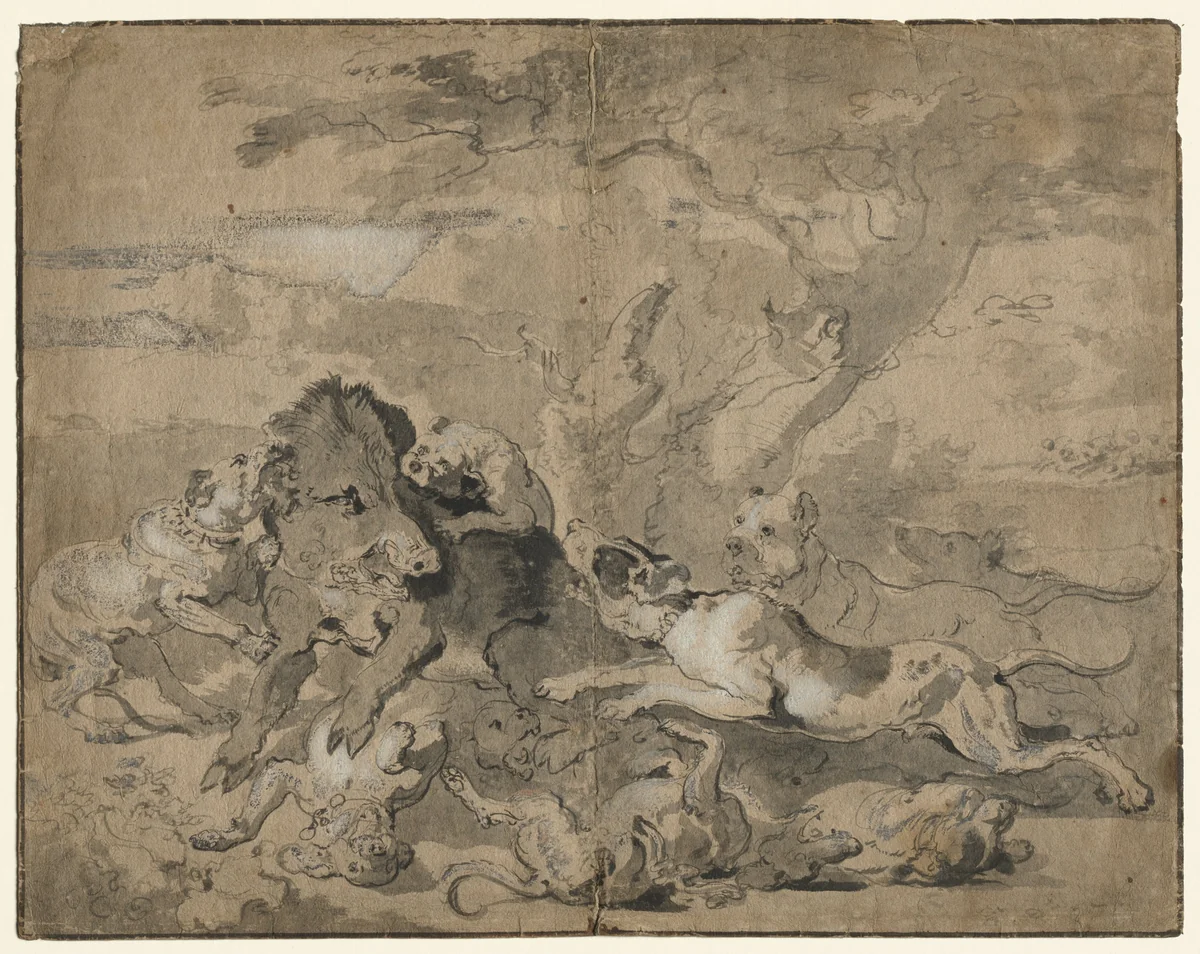 Boar Hunt by Abraham Hondius, drawing, 1667-1677
