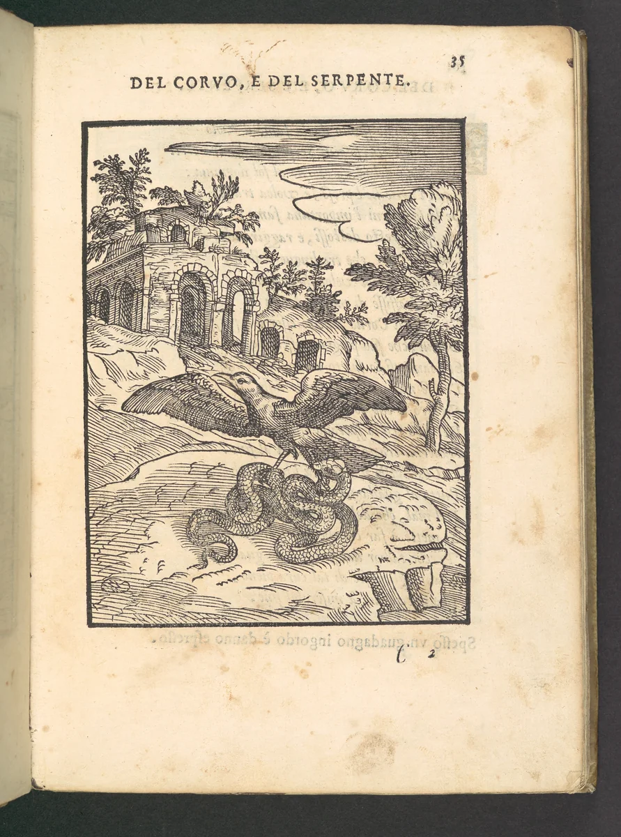 Cento Favole Morali (100 moral fables) by Giovanni Maria Verdizotti, book, 1570