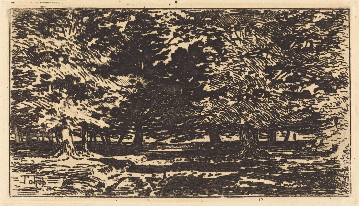 Forêt by Félix-Hilaire Buhot, print, 1847-1898
