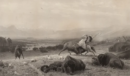 The Last of the Buffalo by Albert Bierstadt, print, 1891
