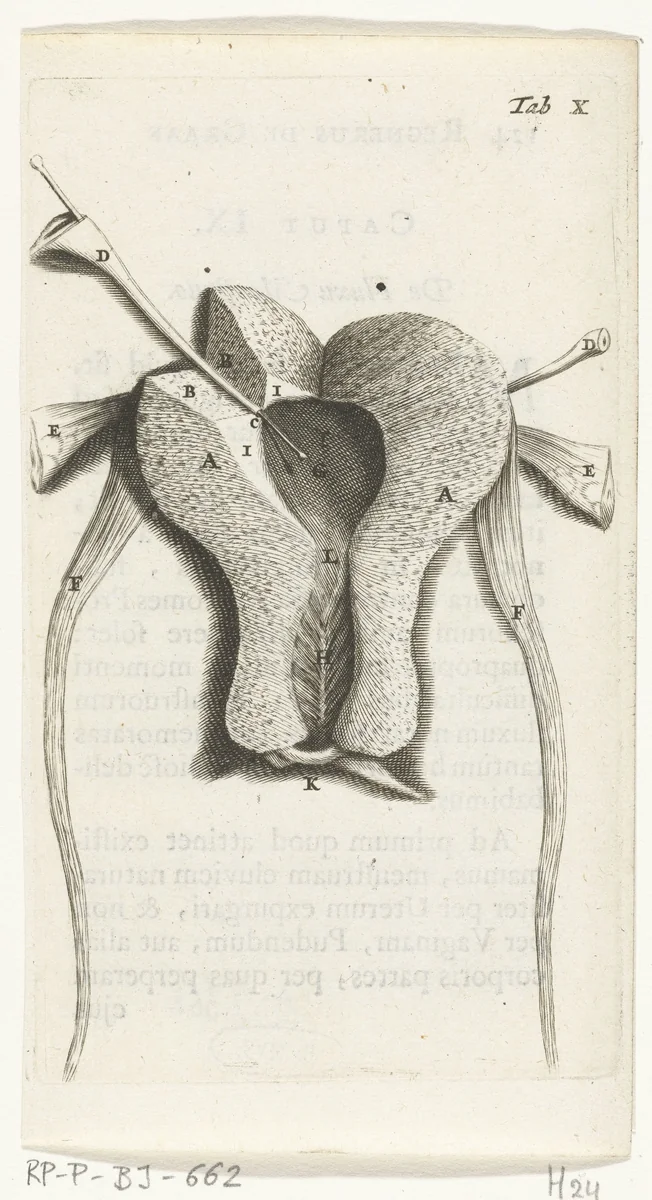 Prenten van de vrouwelijke organen by Hendrik Bary, print, 1672