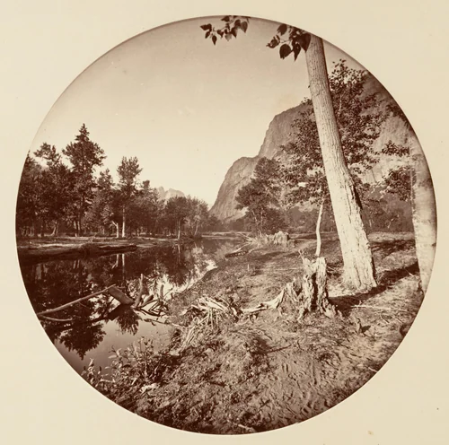 [Yosemite National Park, California] by Carleton E. Watkins, photograph, 1876-1880